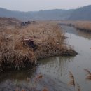 광암천 이미지