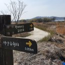 병암유원지 티스토리