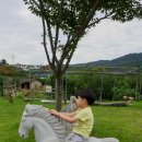 태우농장 이미지