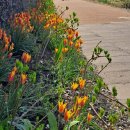 홍성청계닭농장 이미지