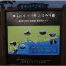 제주 올레 5-6코스(091105) 이미지