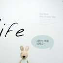 푸른원목 - 전주시 완산구 서서학동 | 푸른원목