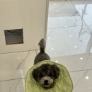 까미헤어갤러리