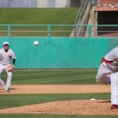 최대성 카카오 검색결과