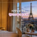 더위크스테이민박 | 파리 15구 숙소 헨리스테이 3호점 에펠탑뷰 감성 한인민박