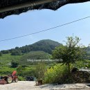 상룡농장 이미지