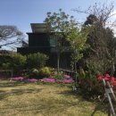 봉성공인중개사사무소 이미지