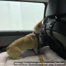 나미컴퍼니 이미지