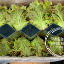 더드림농장 이미지