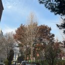 원종어린이공원 이미지