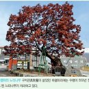 능성 구씨綾城具氏의 연원 이미지