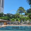 SG GYM | 싱가포르 리츠칼튼 숙박후기 칼랑뷰, 30층 룸컨디션에 대한 후기, 딥티크 들고가지말기, 내돈내산 솔직후기