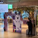 지에스25 울산현대문화 | 현대백화점 미아점 흰디의 보물찾기 행사 흰디 리유저블백 새뱃돈봉투