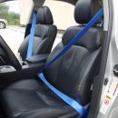 로얄게러지 이미지