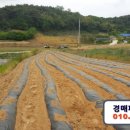 봉소2리 마을회관 이미지