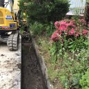 외서초등학교 이미지