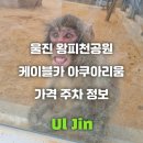 세븐일레븐 울진케이블카점 | 울진 왕피천공원 케이블카 후기