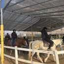 미사리 승마공원 이미지