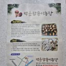백운안길 | 참송이버섯 추천 내돈내산 솔직후기 육식파가 인정하는 쫄깃쫄깃 맛있는 백운참송이농장