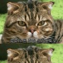 임루루