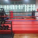 서충주YB복싱 | 대소원면 복싱 서충주YB복싱