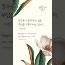 오늘의 '신앙 명언'(277강) 무명의 성도(Anonymous) 이미지