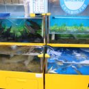 해누리초등학교 이미지