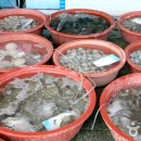 사강시장길 이미지