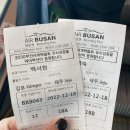 덕이네농장 | 엄마랑 제주 동쪽 2박 3일 (광치기해변유채꽃, 우도, 감귤 체험, 섭지코지)