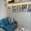 닥터 스와인