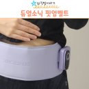 듀얼소닉 핏업벨트 EMS 복부 마사지기 후기