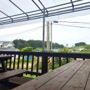 몽산포몽글몽글 이미지