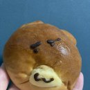쿠마카츠 - 남구 신복로31번길 12-9 | 쿠마카츠