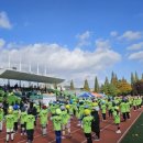 세계효 태권도장 이미지