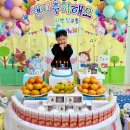 돌핀 | 명지 돌핀웨일 구매후기｜가성비 유아동복