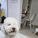 두두스테이 이미지