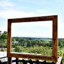 태진목장 이미지