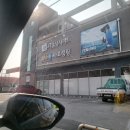 삼인낚시터 | [초보낚시일지] 삼인낚시터 루어 낚시