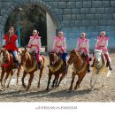 더마파크 이미지