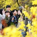 촉촉이네 이미지