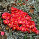 호구산 백련암 이미지