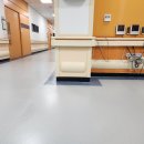 연세대학교 재활학교 이미지