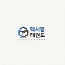 맥시멈 태권도 이미지