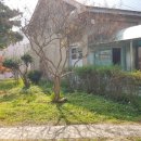 동강중학교 이미지