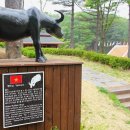 국립아세안자연휴양림 이미지