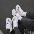 네오젠 | 일산 킨텍스 미즈노 런페스타 2026 네오젠2 시착 솔직한 방문 후기