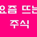 주식회사 씨트리 | 요즘뜨는주식! 돈이 보인다!