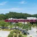 용인대능동태권도 이미지