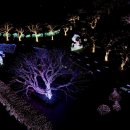 제주허브동산 이미지