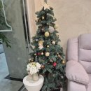 맞춤 디자인과 높은 유지력 속눈썹펌 토탈뷰티샵 이로울뷰티